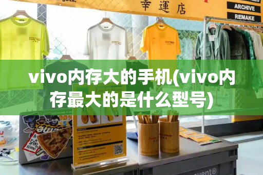 vivo内存大的手机(vivo内存最大的是什么型号)-第1张图片-星选测评