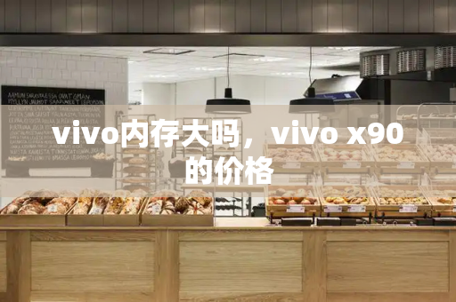 vivo内存大吗，vivo x90的价格