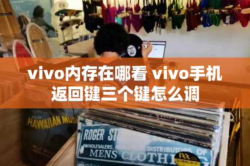 vivo内存在哪看 vivo手机返回键三个键怎么调