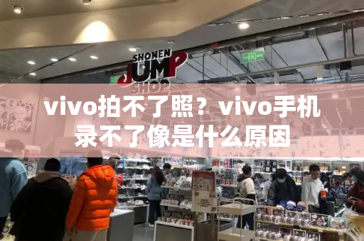 vivo拍不了照？vivo手机录不了像是什么原因-第1张图片-星选测评