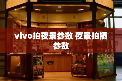 vivo拍夜景参数 夜景拍摄参数-第1张图片-星选测评