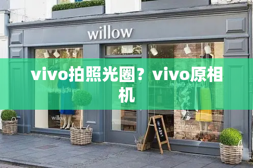 vivo拍照光圈？vivo原相机-第1张图片-星选测评