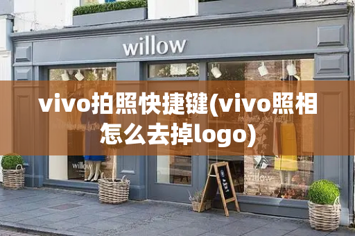 vivo拍照快捷键(vivo照相怎么去掉logo)
