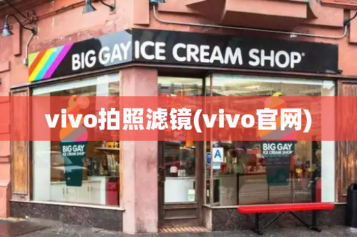vivo拍照滤镜(vivo官网)