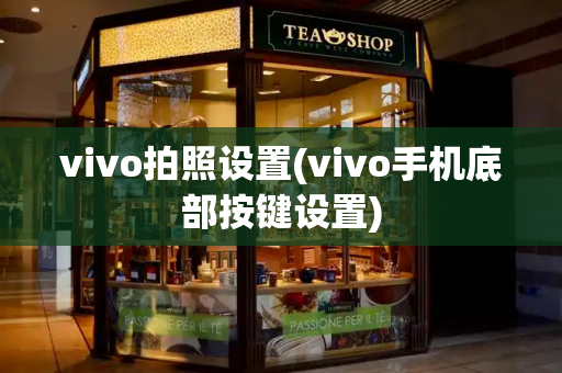 vivo拍照设置(vivo手机底部按键设置)-第1张图片-星选测评