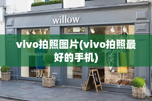 vivo拍照图片(vivo拍照最好的手机)-第1张图片-星选测评