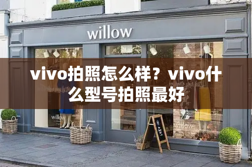 vivo拍照怎么样？vivo什么型号拍照最好-第1张图片-星选测评