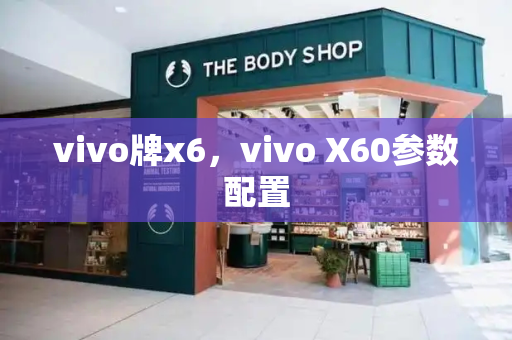 vivo牌x6，vivo X60参数配置