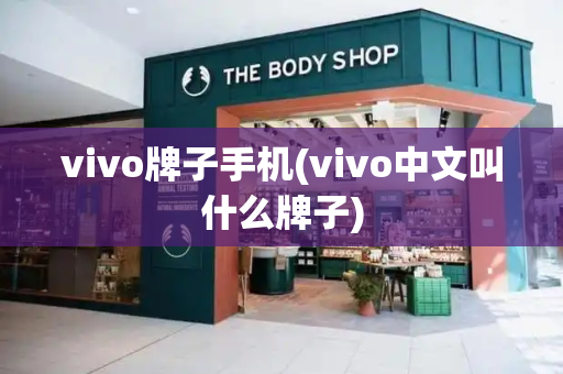 vivo牌子手机(vivo中文叫什么牌子)-第1张图片-星选测评