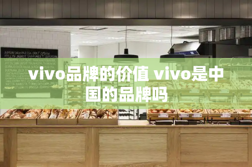 vivo品牌的价值 vivo是中国的品牌吗