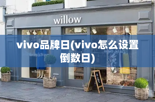 vivo品牌日(vivo怎么设置倒数日)