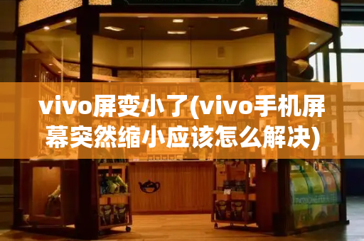 vivo屏变小了(vivo手机屏幕突然缩小应该怎么解决)