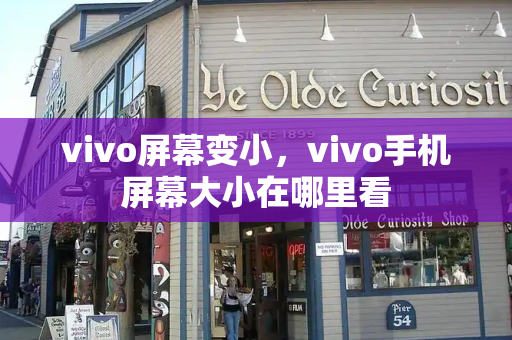vivo屏幕变小，vivo手机屏幕大小在哪里看