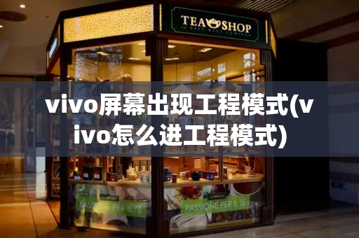 vivo屏幕出现工程模式(vivo怎么进工程模式)