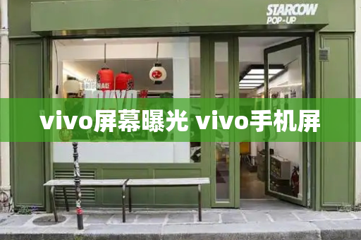 vivo屏幕曝光 vivo手机屏