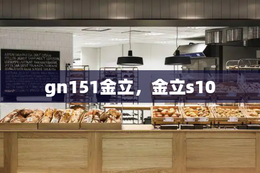 gn151金立，金立s10-第1张图片-星选测评