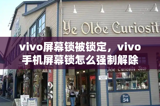 vivo屏幕锁被锁定，vivo手机屏幕锁怎么强制解除-第1张图片-星选测评