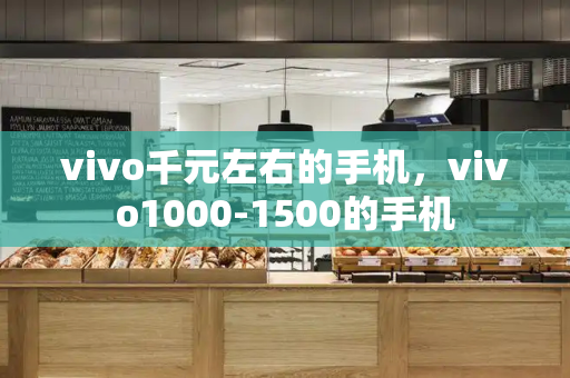 vivo千元左右的手机，vivo1000-1500的手机-第1张图片-星选测评