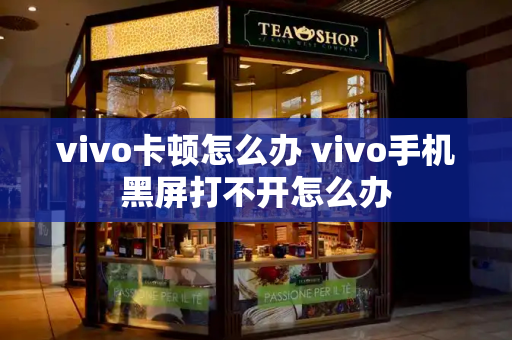 vivo卡顿怎么办 vivo手机黑屏打不开怎么办