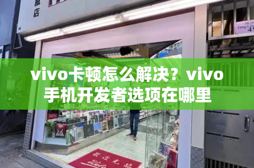 vivo卡顿怎么解决？vivo手机开发者选项在哪里