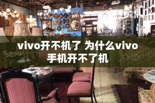 vivo开不机了 为什么vivo手机开不了机