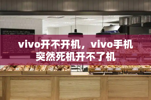 vivo开不开机，vivo手机突然死机开不了机