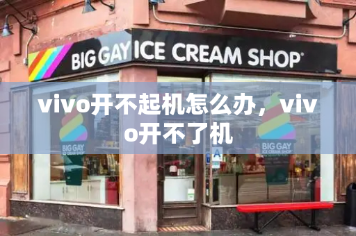 vivo开不起机怎么办，vivo开不了机-第1张图片-星选测评