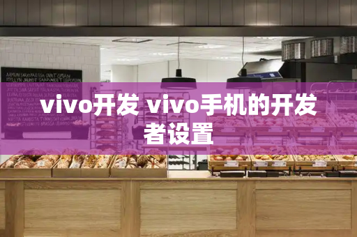 vivo开发 vivo手机的开发者设置