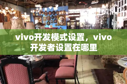 vivo开发模式设置，vivo开发者设置在哪里