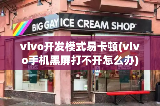 vivo开发模式易卡顿(vivo手机黑屏打不开怎么办)-第1张图片-星选测评