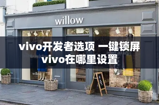 vivo开发者选项 一键锁屏vivo在哪里设置-第1张图片-星选测评