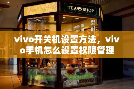 vivo开关机设置方法，vivo手机怎么设置权限管理