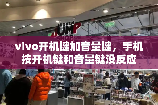 vivo开机键加音量键，手机按开机键和音量键没反应