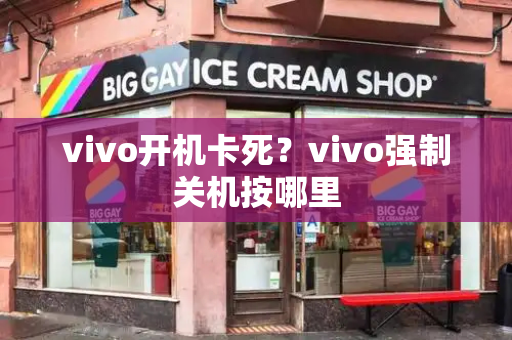 vivo开机卡死？vivo强制关机按哪里-第1张图片-星选测评