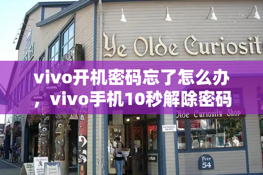 vivo开机密码忘了怎么办，vivo手机10秒解除密码