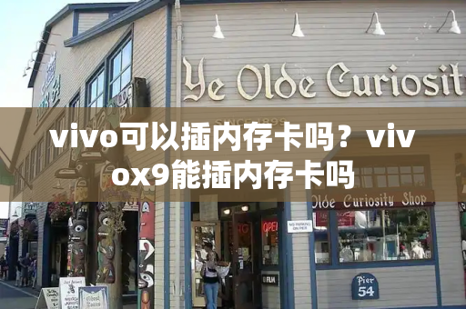 vivo可以插内存卡吗？vivox9能插内存卡吗