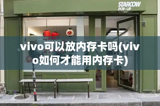 vivo可以放内存卡吗(vivo如何才能用内存卡)-第1张图片-星选测评