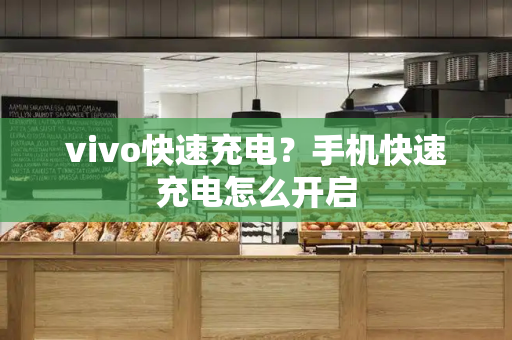 vivo快速充电？手机快速充电怎么开启-第1张图片-星选测评