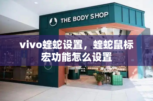 vivo蝰蛇设置，蝰蛇鼠标宏功能怎么设置