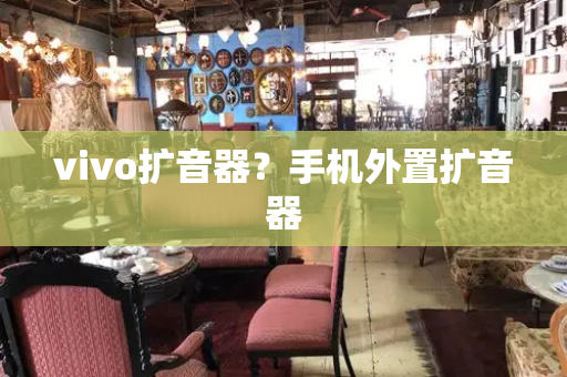 vivo扩音器？手机外置扩音器