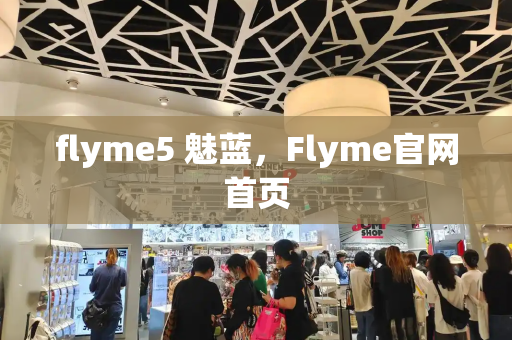 flyme5 魅蓝，Flyme官网首页