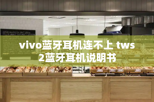 vivo蓝牙耳机连不上 tws2蓝牙耳机说明书