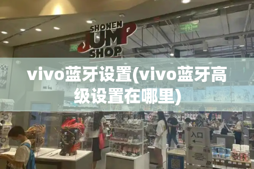 vivo蓝牙设置(vivo蓝牙高级设置在哪里)