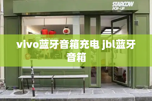 vivo蓝牙音箱充电 jbl蓝牙音箱