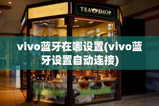 vivo蓝牙在哪设置(vivo蓝牙设置自动连接)-第1张图片-星选测评