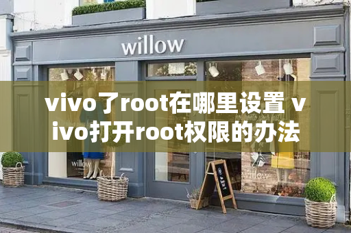 vivo了root在哪里设置 vivo打开root权限的办法-第1张图片-星选测评