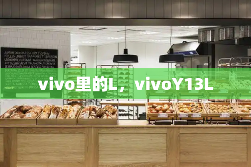 vivo里的L，vivoY13L