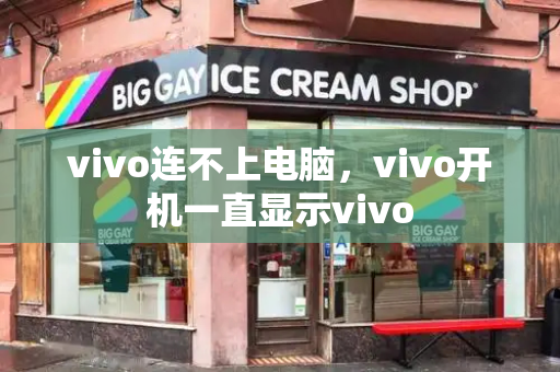 vivo连不上电脑，vivo开机一直显示vivo-第1张图片-星选测评