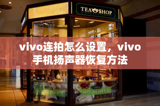 vivo连拍怎么设置，vivo手机扬声器恢复方法