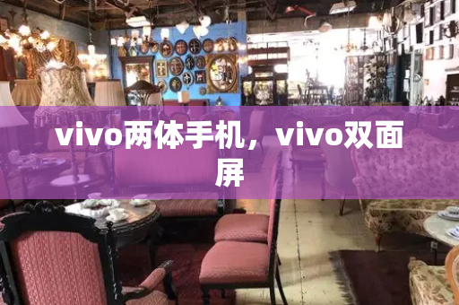 vivo两体手机，vivo双面屏